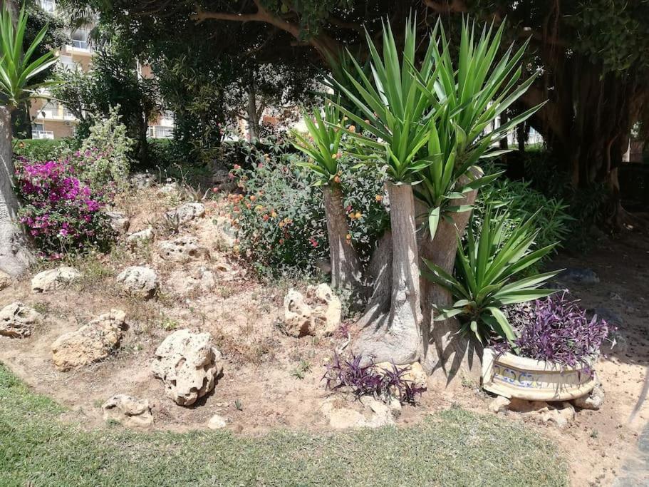 Acogedor,Apartamento.Piscina, Vistas, Terraza Benalmádena Exteriör bild